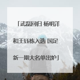 武磊回归 杨明洋和王钰栋入选 国足新一期大名单出炉